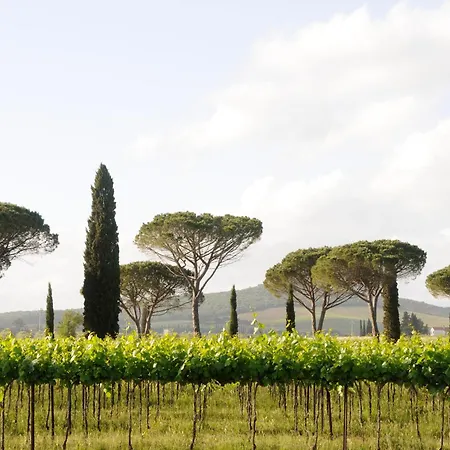 Villa La Stella Villa Gavorrano